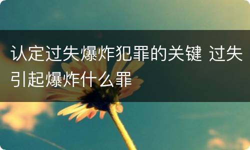 认定过失爆炸犯罪的关键 过失引起爆炸什么罪