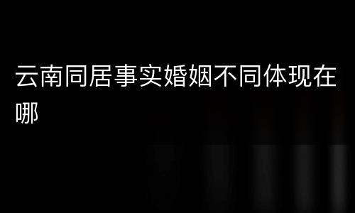 云南同居事实婚姻不同体现在哪