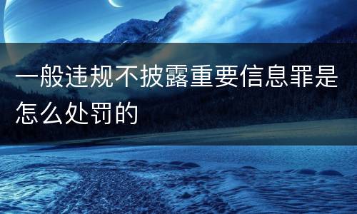 一般违规不披露重要信息罪是怎么处罚的