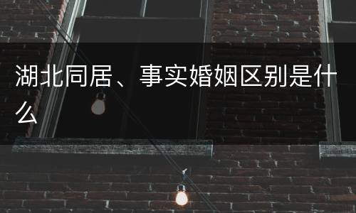 湖北同居、事实婚姻区别是什么