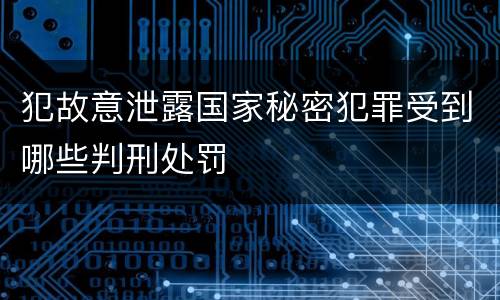 犯故意泄露国家秘密犯罪受到哪些判刑处罚