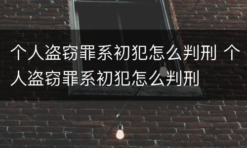 个人盗窃罪系初犯怎么判刑 个人盗窃罪系初犯怎么判刑