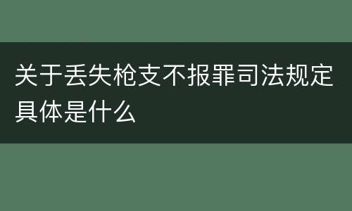 关于丢失枪支不报罪司法规定具体是什么