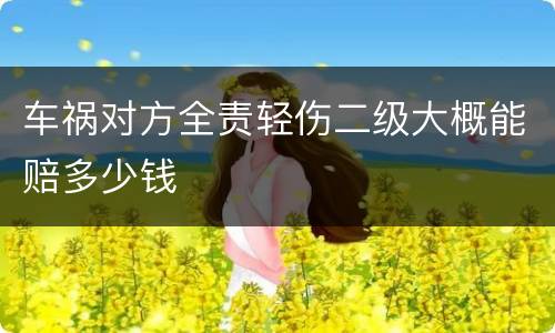 车祸对方全责轻伤二级大概能赔多少钱