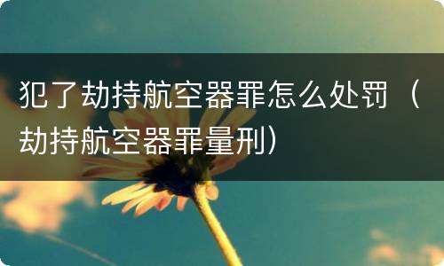 犯了劫持航空器罪怎么处罚（劫持航空器罪量刑）