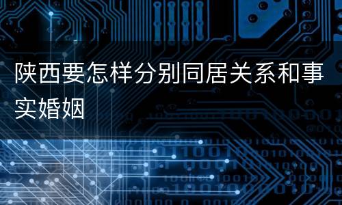 陕西要怎样分别同居关系和事实婚姻