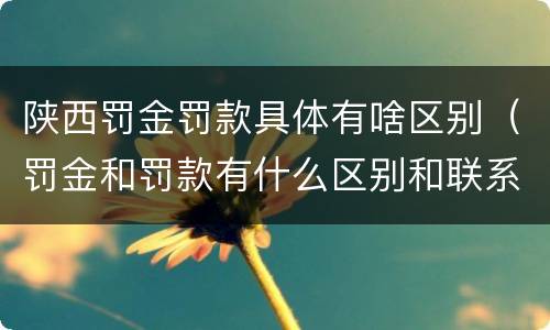 陕西罚金罚款具体有啥区别（罚金和罚款有什么区别和联系）