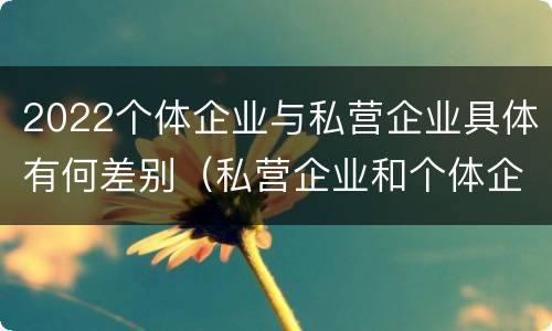 2022个体企业与私营企业具体有何差别（私营企业和个体企业的区别）