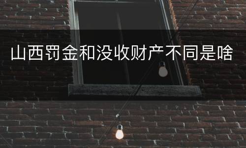 山西罚金和没收财产不同是啥