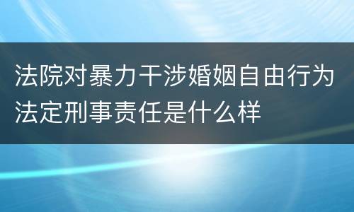 法院对暴力干涉婚姻自由行为法定刑事责任是什么样