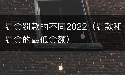 罚金罚款的不同2022（罚款和罚金的最低金额）