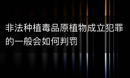 非法种植毒品原植物成立犯罪的一般会如何判罚