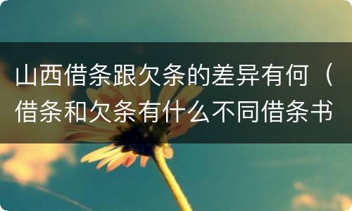 山西借条跟欠条的差异有何（借条和欠条有什么不同借条书写）