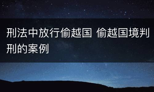 刑法中放行偷越国 偷越国境判刑的案例