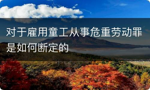 对于雇用童工从事危重劳动罪是如何断定的