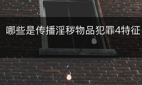 哪些是传播淫秽物品犯罪4特征