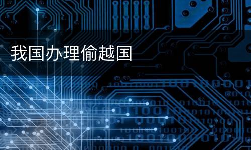 我国办理偷越国