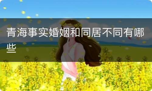 青海事实婚姻和同居不同有哪些