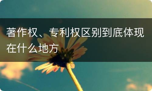 著作权、专利权区别到底体现在什么地方