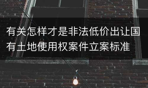有关怎样才是非法低价出让国有土地使用权案件立案标准