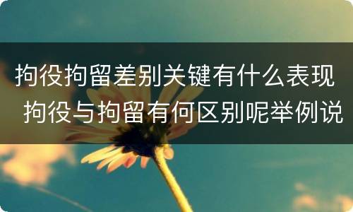 拘役拘留差别关键有什么表现 拘役与拘留有何区别呢举例说明