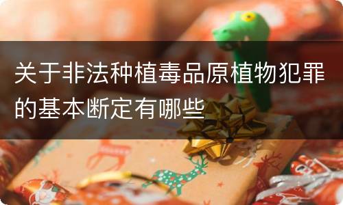 关于非法种植毒品原植物犯罪的基本断定有哪些