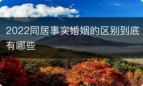2022同居事实婚姻的区别到底有哪些