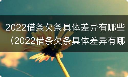 2022借条欠条具体差异有哪些（2022借条欠条具体差异有哪些方面）