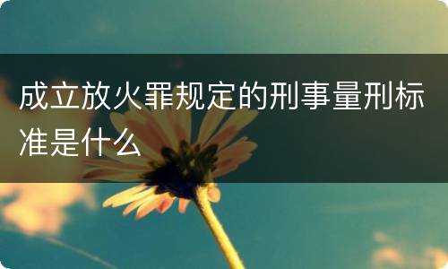成立放火罪规定的刑事量刑标准是什么