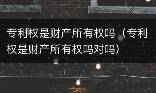 专利权是财产所有权吗（专利权是财产所有权吗对吗）