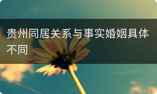 贵州同居关系与事实婚姻具体不同