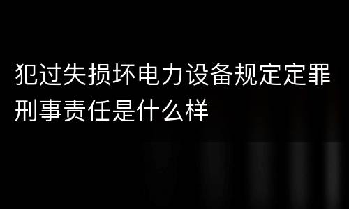 犯过失损坏电力设备规定定罪刑事责任是什么样