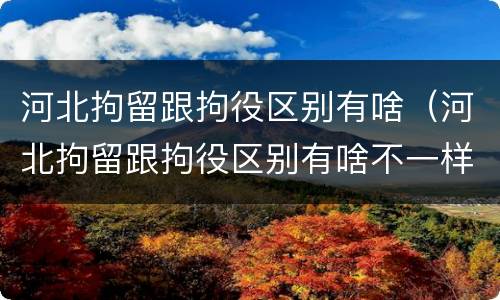 河北拘留跟拘役区别有啥（河北拘留跟拘役区别有啥不一样）