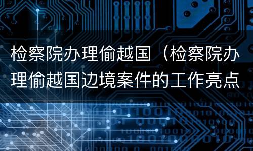 检察院办理偷越国（检察院办理偷越国边境案件的工作亮点）