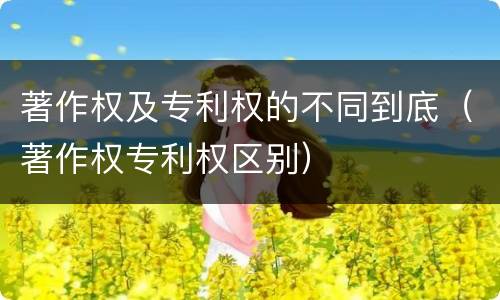 著作权及专利权的不同到底（著作权专利权区别）