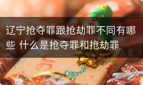 辽宁抢夺罪跟抢劫罪不同有哪些 什么是抢夺罪和抢劫罪