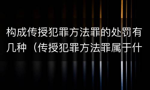 构成传授犯罪方法罪的处罚有几种（传授犯罪方法罪属于什么罪）