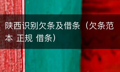陕西识别欠条及借条（欠条范本 正规 借条）