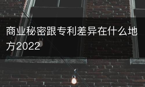 商业秘密跟专利差异在什么地方2022