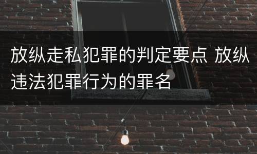 放纵走私犯罪的判定要点 放纵违法犯罪行为的罪名