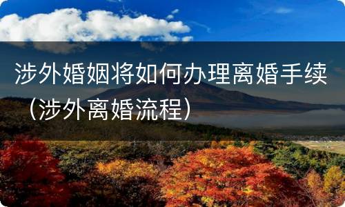 涉外婚姻将如何办理离婚手续（涉外离婚流程）