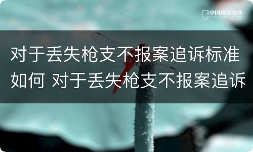 对于丢失枪支不报案追诉标准如何 对于丢失枪支不报案追诉标准如何认定