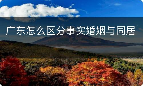 广东怎么区分事实婚姻与同居