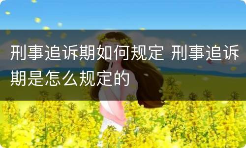 刑事追诉期如何规定 刑事追诉期是怎么规定的