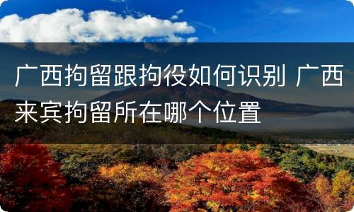 广西拘留跟拘役如何识别 广西来宾拘留所在哪个位置