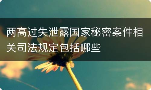 两高过失泄露国家秘密案件相关司法规定包括哪些
