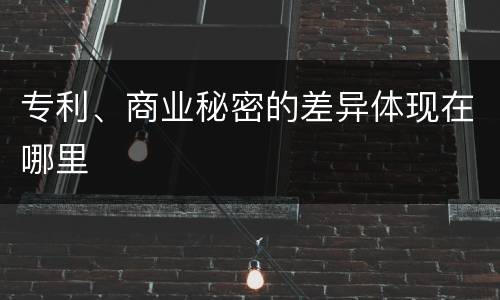 专利、商业秘密的差异体现在哪里