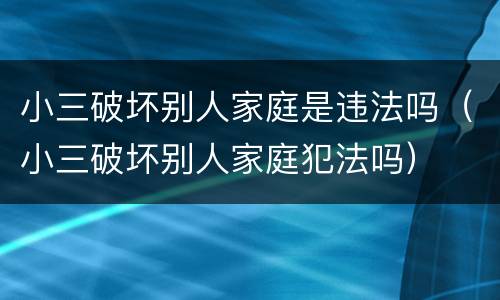 小三破坏别人家庭是违法吗（小三破坏别人家庭犯法吗）