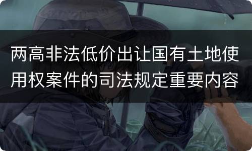 两高非法低价出让国有土地使用权案件的司法规定重要内容