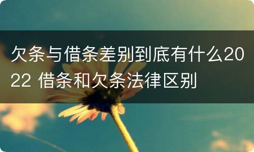 欠条与借条差别到底有什么2022 借条和欠条法律区别